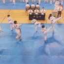 보령태권도체육관 이미지