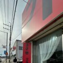 포레스트541 이미지