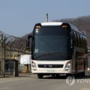 꼴  미 이미지