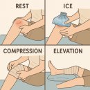 관악경희한의원 | 십자인대파열과 함께 오는 ‘불행삼주징’이란? 무릎통증의 원인과 재활훈련