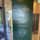 트리고삼척
