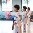 한미태권도 이미지