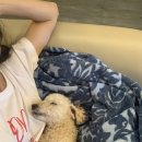 프리스타일유통 이미지