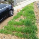 분천농장 이미지