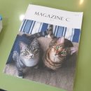 주앤동물병원