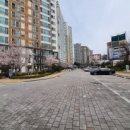 조암동물병원 이미지