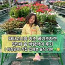 산호옷수선 - 포항시 북구 용두산길 48 | 파타고니아 키즈 베기즈자켓 만5세 봄 바람막이 후기 | 워킹맘이 직접 입혀본 솔직 리뷰 💚🧥