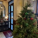 할미감성송정점 | 구미송정동맛집 | 할미감성 송정점 냉삼한판·물뱅이 세트 솔직후기! 복개천 고기파티 즐기고 왔어요