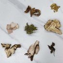 호랑한의원 이미지