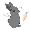 (주)블루네트웍스