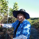 소야농장 이미지