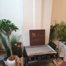 문화의거리_동 | 안동 구시장 중앙문화의거리 조용한카페 머뭄 추천 내돈내산