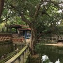 서화여행사