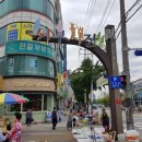 서부시장약국