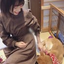 뭉실뭉실 티스토리