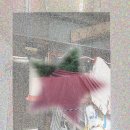 동원태권도장 | 청라철거 폐기물급 특수기계철거? 해답은 바로 여기에!