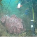 공단수지 이미지