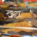 대양수산 이미지