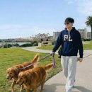 신동-106 이미지