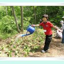 아침편지청소년수련원 이미지