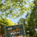 2026.05 | 5월은 가정의 달 (황금연휴의 에버랜드, 엘리펀투어, 다이어트 할래말래할래말래)