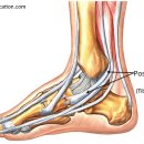 발안한의원 이미지