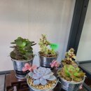꽃뷰티샵