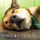 현우기업 네이버블로그