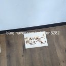 [2급과정] 아동미술지도사 2급 이미지