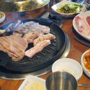 오즈코리아 이미지