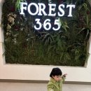 부천우리365약국 | 포레스트365 내돈내산 후기, 평일 낮 한산해서 더 좋았던 부천 통창 브런치 카페