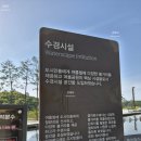여울공원 네이버블로그
