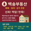 송화공인중개사사무소 이미지