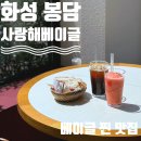 [화성 기안동] 강아지 동반 가능한 베이글 찐 맛집 “사랑해베이글”