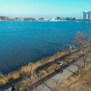 홍성군매안심센터 이미지