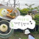제주 동쪽 조식주는 내돈내산 가성비 감성숙소 | 까만돌멩이 + 조식포함 연박후기