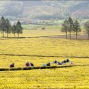 으뜸2농장 이미지