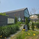 아산탕정카페 실브커피 망고빙수 딸기벽돌케이크 내돈내산후기