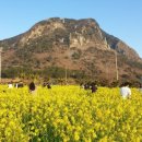 제주휴가 이미지