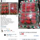 쉐프두리 이미지