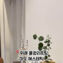미오에스테틱