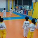 푸름태권도장 네이버블로그