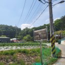 대곡동지석묘군 이미지