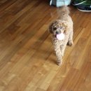 청년사료 이미지