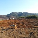 청통농장 이미지