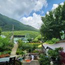 노추산길목식당펜션 이미지