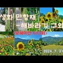 야생화 만항재-해바라기 구와우마을(7)＜유투브동영상＞ 이미지