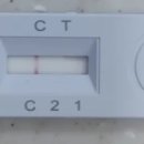 음성동물병원 이미지