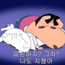 정관장대학로점 | 외향인의 삶