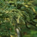 청주청원도서관 이미지